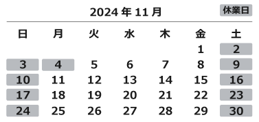 2024年11月